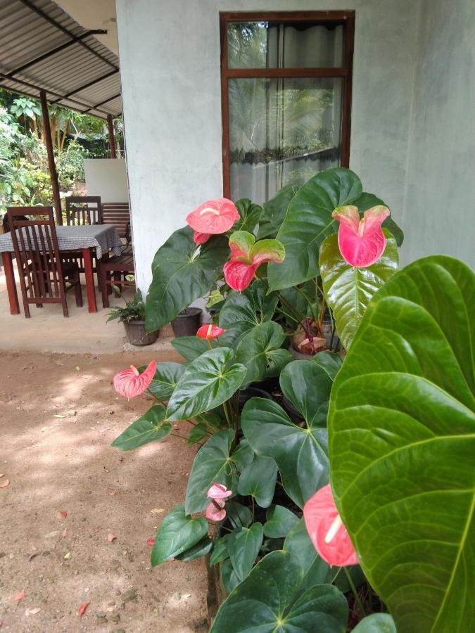 Quiet Rest Inn เอลลา ภายนอก รูปภาพ