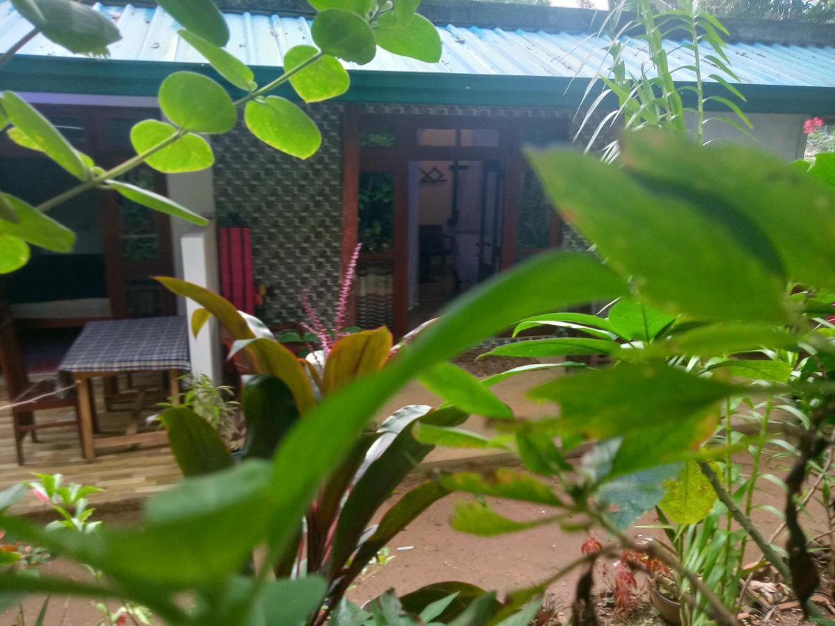 Quiet Rest Inn เอลลา ภายนอก รูปภาพ