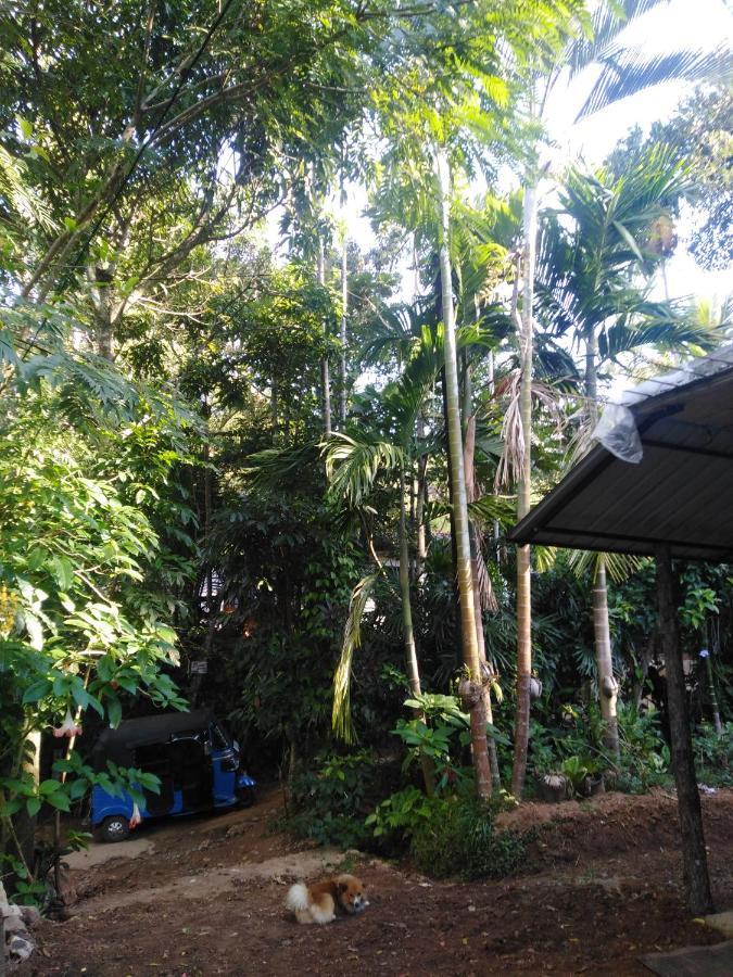 Quiet Rest Inn เอลลา ภายนอก รูปภาพ